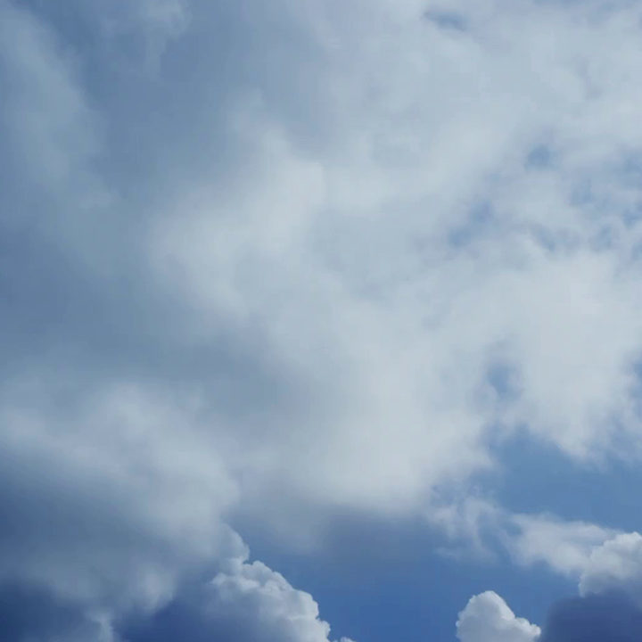 Want to know more? | BORGA